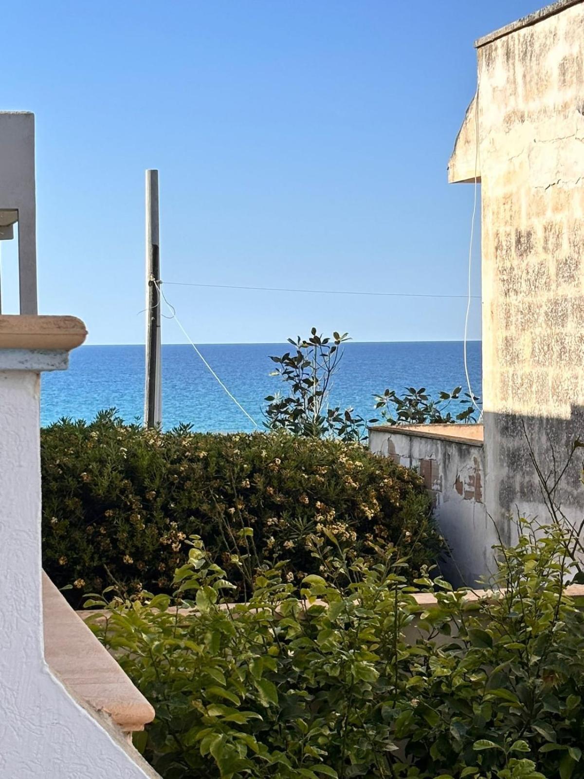 Villa Ranieri-Casa Con Vista A Campo Di Mare Torre San Gennaro エクステリア 写真